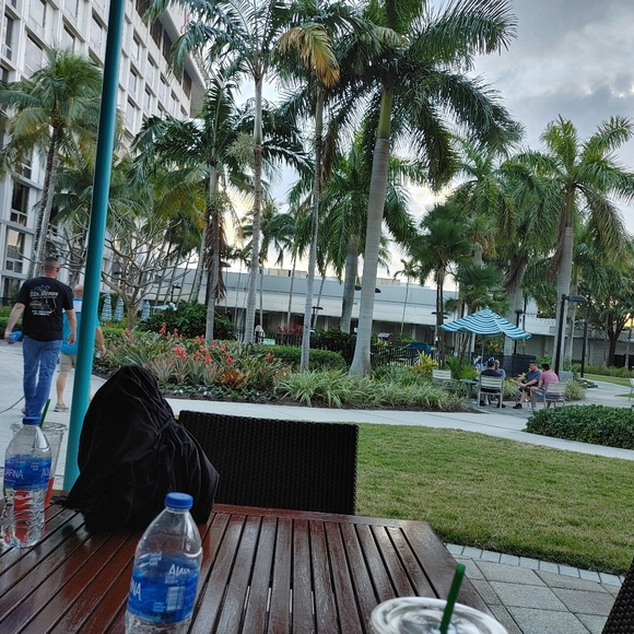 Sunglasses - Picture 4 of 4